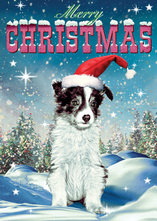 Merry Christmas Puppy Dog Pack of 5 Greeting Cards by Max Hernn - Click Image to Close